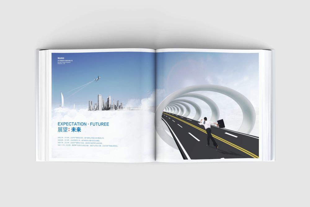 东昌区画册设计